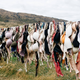 Image for article titled Hey, Maybe Wash Your Bra Every Once in a While?